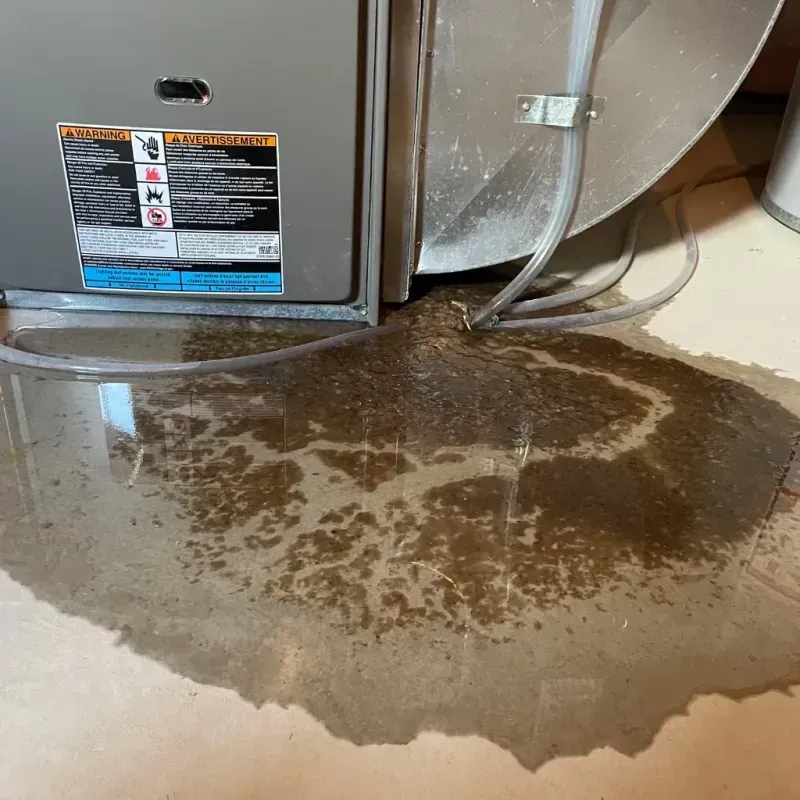 Appliance Leak Cleanup in Country Club Estates, GA